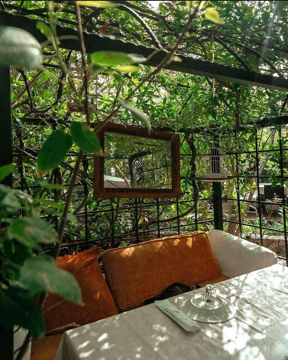 Garden Terrace Suite